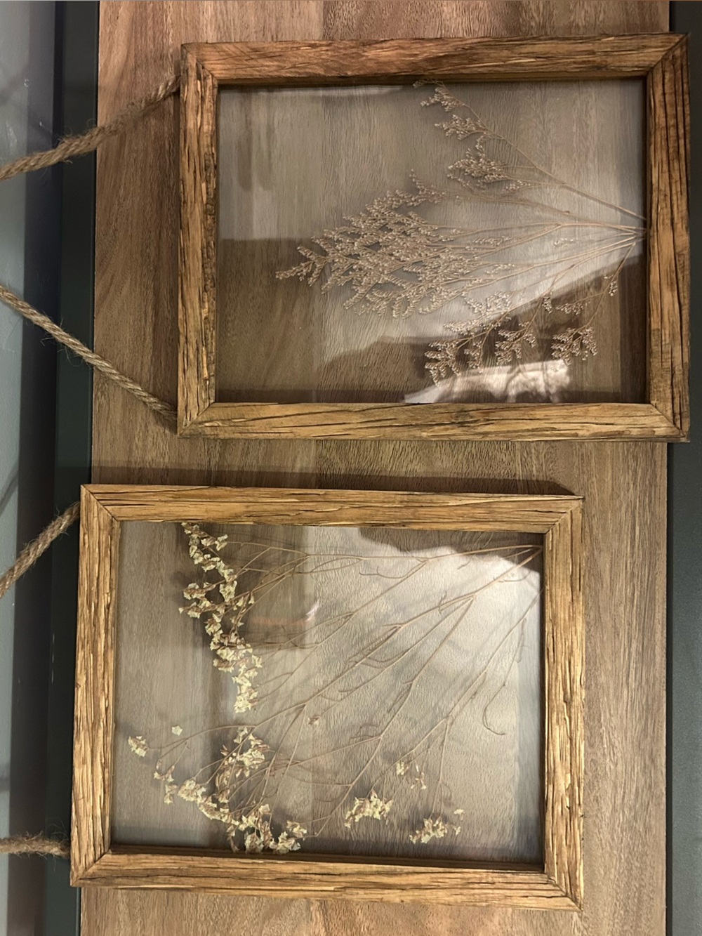 Hobby Lobby Brown Rustic Dried Flower Double Wall Frames